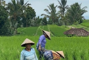 Bali: Taman Beji Griya vattenfall reningsritual