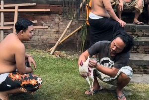 Bali: Taman Ujung Culture Tour with Tirta Gangga & Tenganan