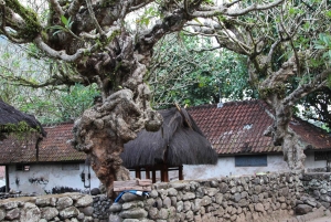 Bali: Taman Ujung Culture Tour with Tirta Gangga & Tenganan
