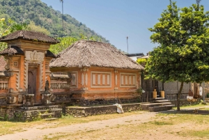 Bali: Taman Ujung Culture Tour with Tirta Gangga & Tenganan