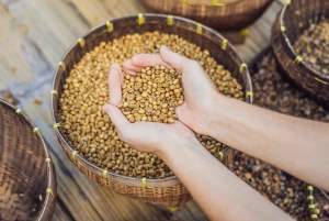 Bali: Taman Ujung Culture Tour with Tirta Gangga & Tenganan