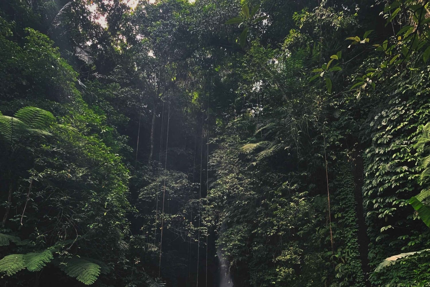 Bali: Tanah Lot, Monkey Forest og vandfald – heldagstur