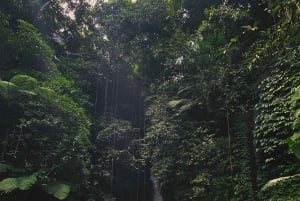 Bali: Tanah Lot, Monkey Forest og vandfald – heldagstur
