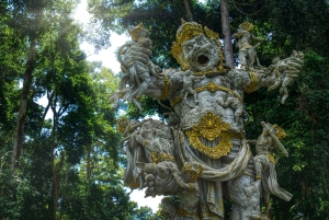 Bali: Tanah Lot, Monkey Forest og vandfald – heldagstur