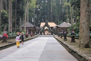 Bali: Tanah Lot, Monkey Forest og vandfald – heldagstur