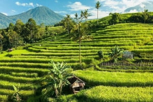 Bali: Tanah Lot, Nung Nung-vandfaldet, Jatiluwih og Bedugul