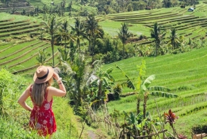 Bali: Tanah Lot ,Nung Nung vesiputous ,Jatiluwih ja Bedugul.