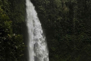 Bali: Tanah Lot, Nung Nung waterval, Jatiluwih en Bedugul