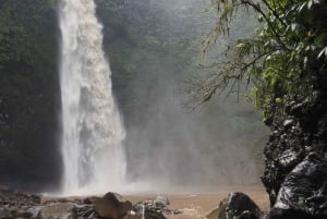 Tanah Lot-Nung Nung Waterfall-Jatiluwih et Bedugul