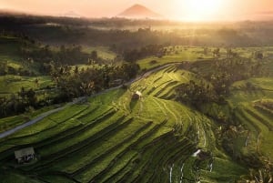Tanah Lot-Nung Nung Waterfall-Jatiluwih et Bedugul
