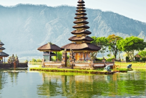 Bali: Tanah Lot, Terrazza del Riso, Ulun Danu e tempio di Taman Ayun