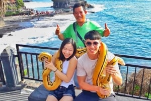 Bali: Tanah Lot Temple Half Day Sunset Tour