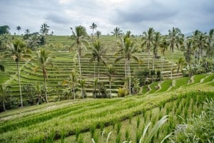 Bali: Tanah Lot UNESCO World Heritage Sites Full-Day Tour
