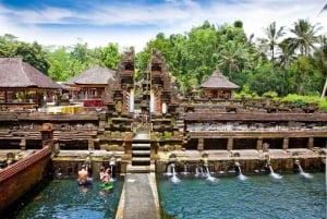 Bali: Tanah Lot UNESCO World Heritage Sites Full-Day Tour