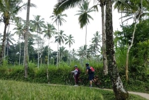 Bali: Tour en bicicleta por el pueblo de Taro con mágicas luciérnagas nocturnas