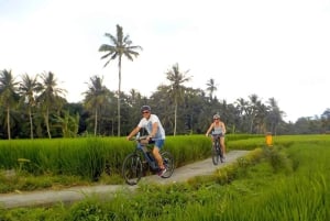 Bali: Tour en bicicleta por el pueblo de Taro con mágicas luciérnagas nocturnas