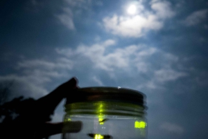 Bali: Tour en bicicleta por el pueblo de Taro con mágicas luciérnagas nocturnas