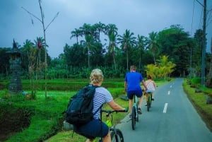 Bali: Tour en bicicleta por el pueblo de Taro con mágicas luciérnagas nocturnas