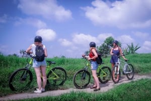 Bali: Tour en bicicleta por el pueblo de Taro con mágicas luciérnagas nocturnas