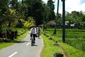Bali: Tour en bicicleta por el pueblo de Taro con mágicas luciérnagas nocturnas