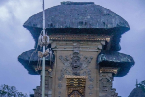 Bali: Tour en bicicleta por el pueblo de Taro con mágicas luciérnagas nocturnas
