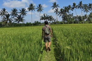 Bali: Taro Village Trek with Rice Terraces and Vegan Feast