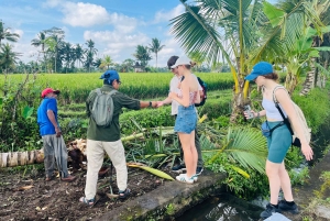 Bali: Taro Village Trek with Rice Terraces and Vegan Feast