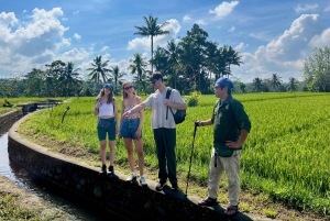 Bali: Taro Village Trek with Rice Terraces and Vegan Feast