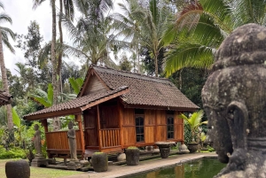 Bali: Taro Village Trek with Rice Terraces and Vegan Feast