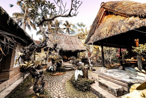 Bali: Tegenungan, Goa Gajah & Tegalalang Rice Terraces Tour