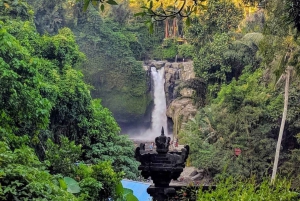 Bali: Tegenungan, Goa Gajah & Tegalalang Rice Terraces Tour