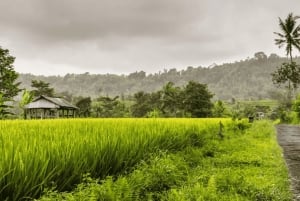 Bali: Telaga Waja Rafting, Sidemen Trek & Coffee Tour