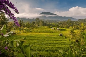 Bali: Telaga Waja Rafting, Sidemen Trek & Coffee Tour
