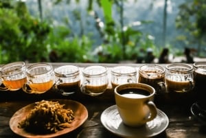 Bali: Telaga Waja Rafting, Sidemen Trek & Coffee Tour