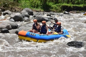 Bali: Telaga Waja Rafting & Spa Private Day Tour
