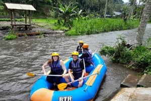 Bali: Telaga Waja Rafting & Spa Private Day Tour