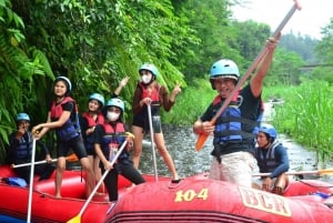 Bali Telaga Waja River Rafting Adventure - More Challenging