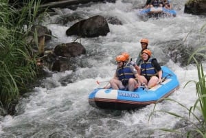Bali: Rafting no rio Telaga Waja e aventura de moto-quatro