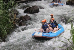 Bali: rafting sul fiume Telaga Waja e avventura in quad