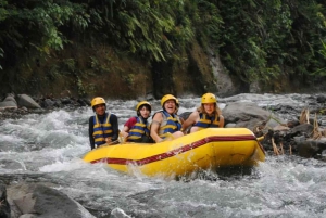 Bali: Telaga Waja River Rafting Small-Group Tour with Lunch