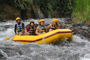 Bali: Telaga Waja River Rafting Kleingruppentour mit Mittagessen