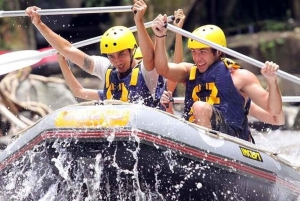 Bali: Telaga Waja White Water River Guidet rafting og lunsj