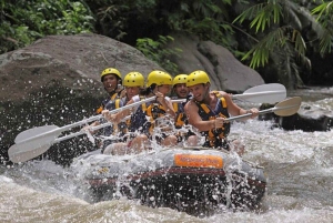 Bali: Telaga Waja White Water River Guidet rafting og lunsj