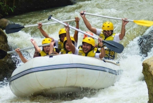 Bali: Telaga Waja White Water River Guidet rafting og lunsj