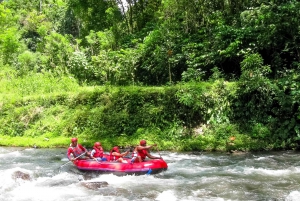 Bali: Telaga Waja White Water River Guidet rafting og lunsj