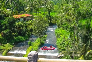 Bali: Telaga Waja White Water River Guidet rafting og lunsj