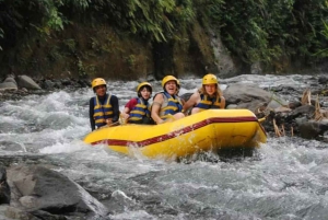 Bali: Telaga Waja White Water River Guidet rafting og lunsj
