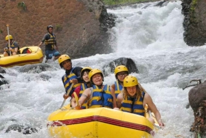 Bali: Telaga Waja White Water River Guidet rafting og lunsj
