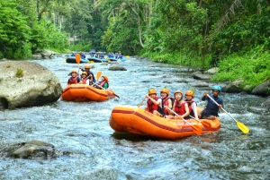 Bali: Telaga Waja White Water River Guidet rafting og lunsj