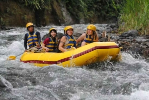 Bali: Telaga Waja White Water River Guidet rafting og lunsj